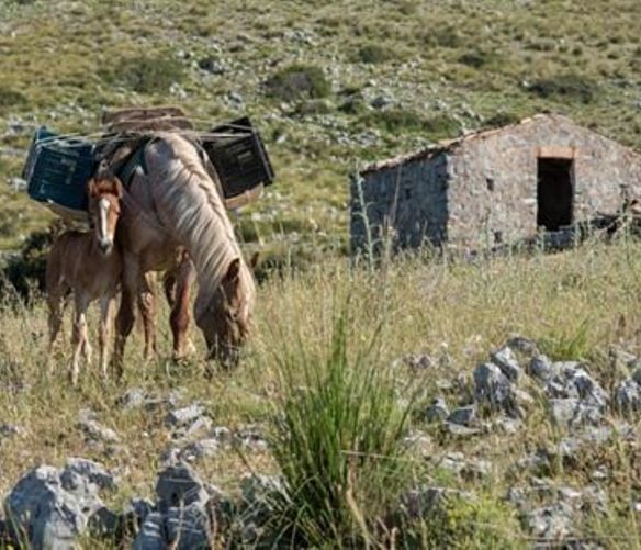 Paolo-Abbate foto - 27022017 art abbate 01