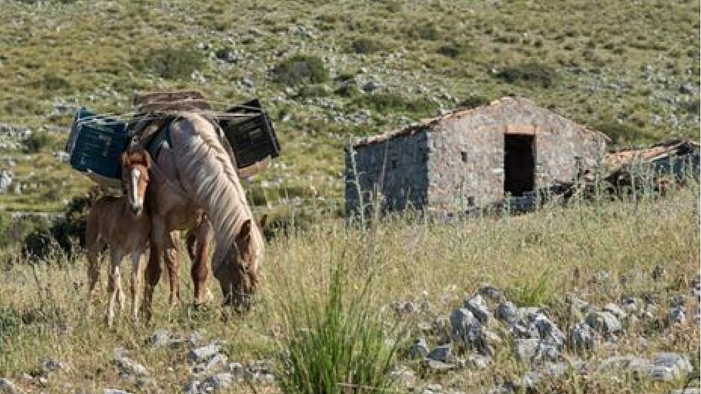 27022017 art abbate 01 27022017 art abbate 01