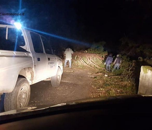 Tonino-Luppino foto - 27022019 Torraca maltempo 1