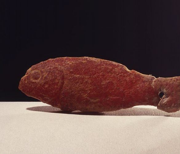 27022020 pesce in ambra Museo di Pontecagnano