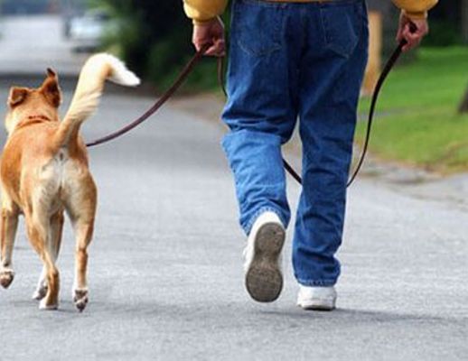27032015 passeggiata con il cane