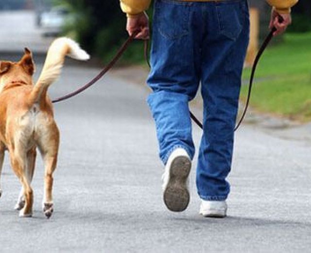 27032015 passeggiata con il cane