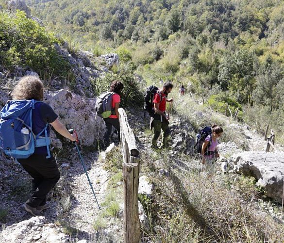 27032023 camminatori