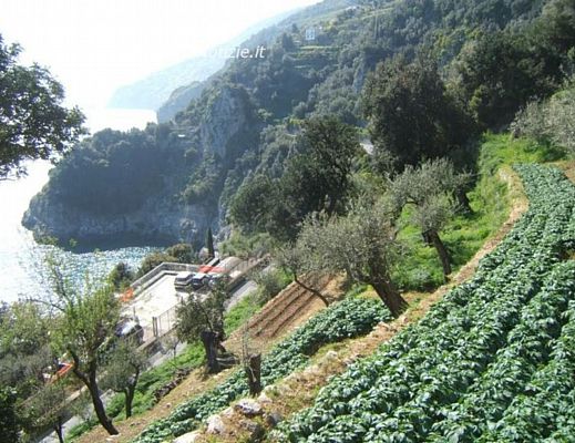 27042014 conca dei marini