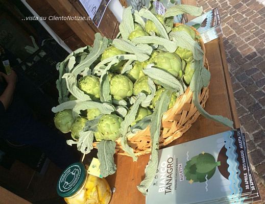 27042015 carciofo tanagro