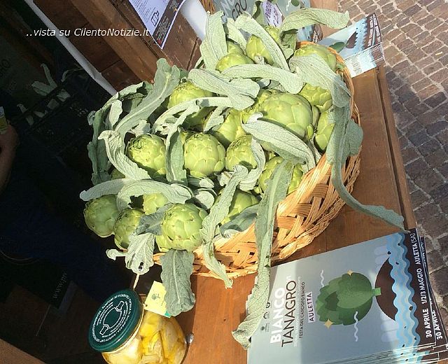 27042015 carciofo tanagro
