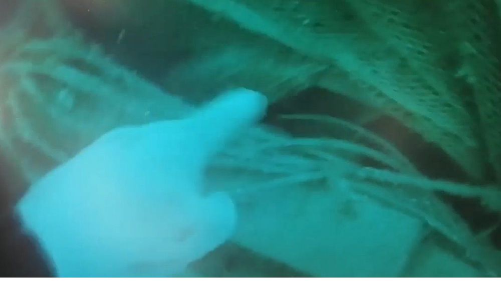 27042023 da video 27042023 da video