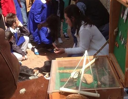 Giovanni-Mautone foto - 27052014 agora cont 02