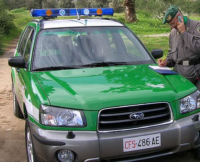 27052015 corpoforestale