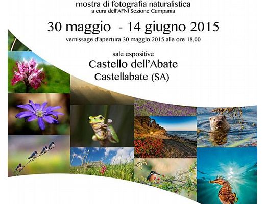 27052015 mostra foto castellabate big