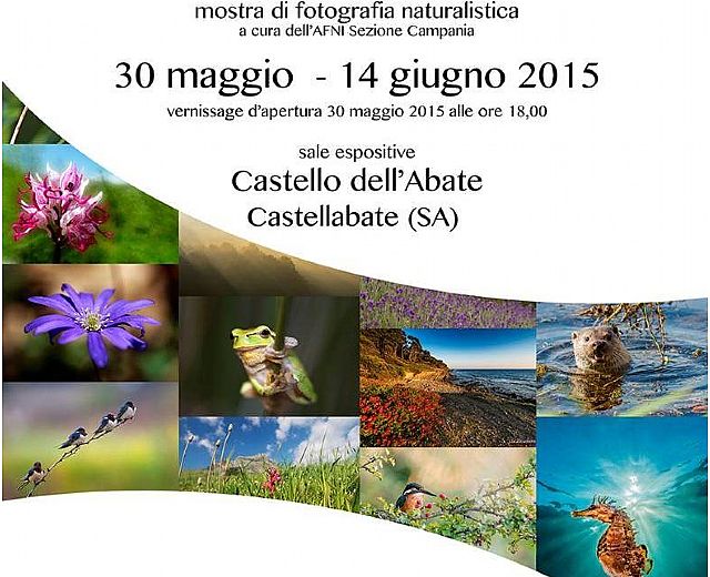 27052015 mostra foto castellabate big