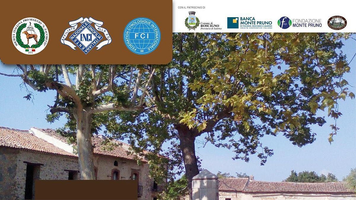 27052025 enci village