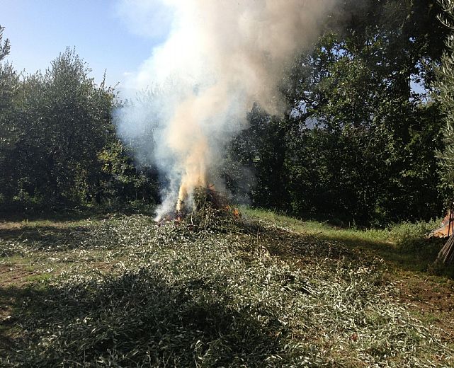 27062014 rifiuti vegetali