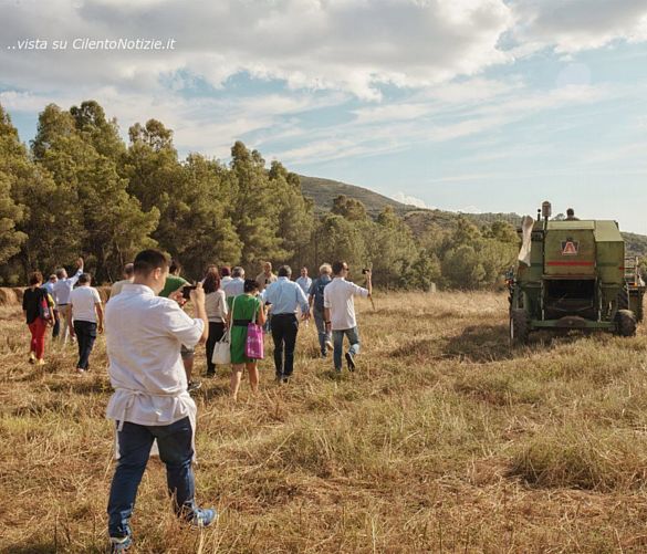 27062019 campi del cilento 2018