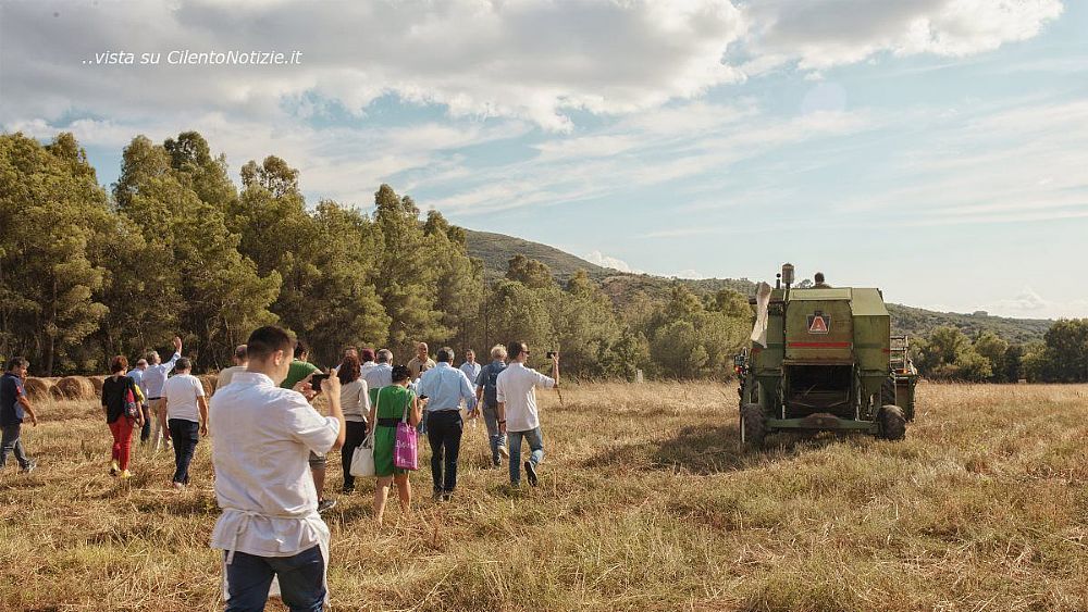 27062019 campi del cilento 2018