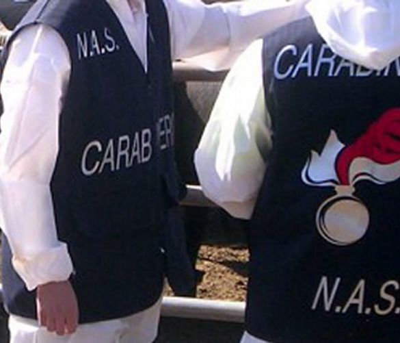 27072017 carabinieri nas