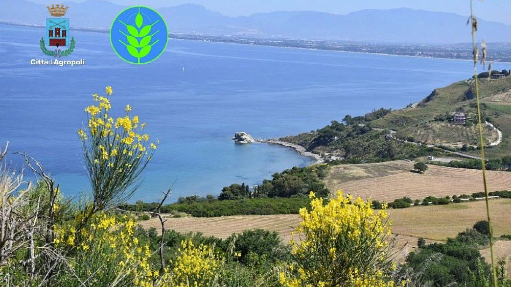 27072021 agropoli spiga verde 27072021 agropoli spiga verde