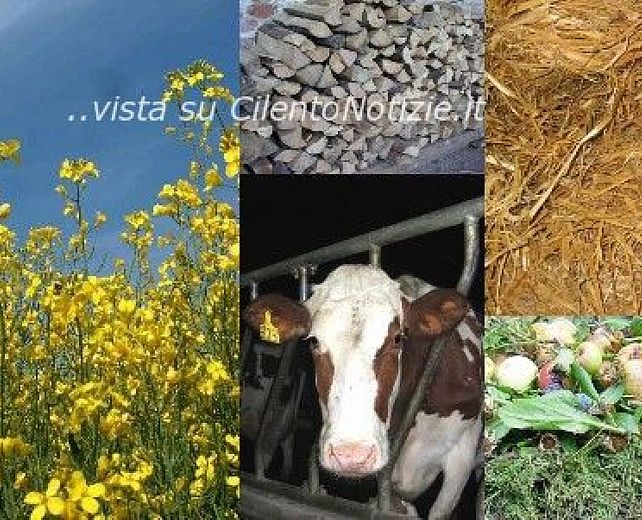 27092014 bio agro energia