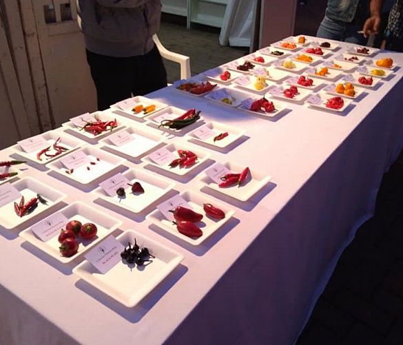 Tonino-Luppino foto - 27092019 PEPERONCINO 40 TIPI