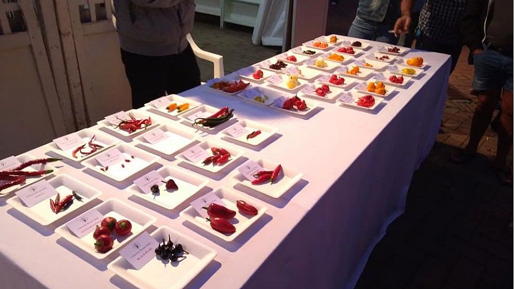 27092019 PEPERONCINO 40 TIPI 27092019 PEPERONCINO 40 TIPI