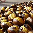 Spettacoli-eventi foto - 27102017 castagne sagra