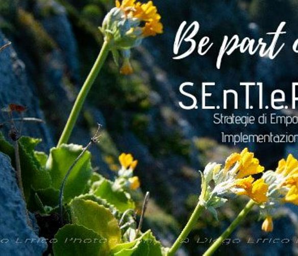 27102019 sentieri