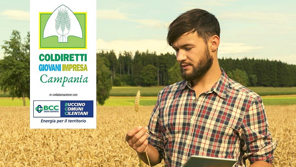 27112018 investire sui giovani