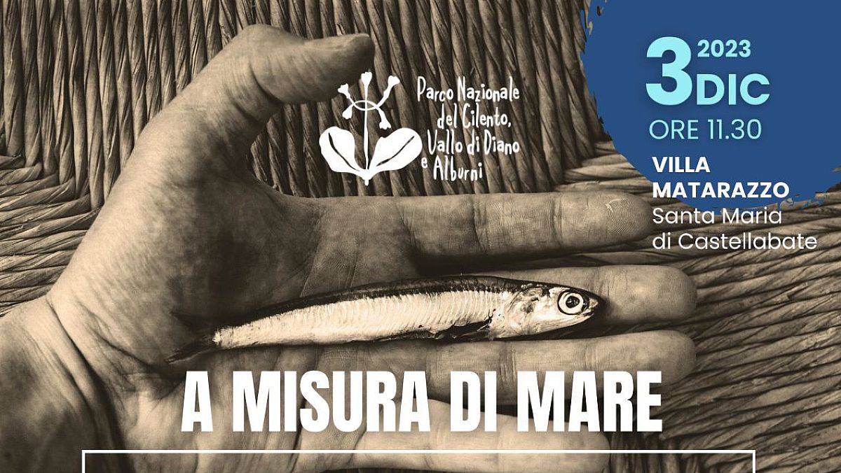 27112023 a misura di mare 27112023 a misura di mare