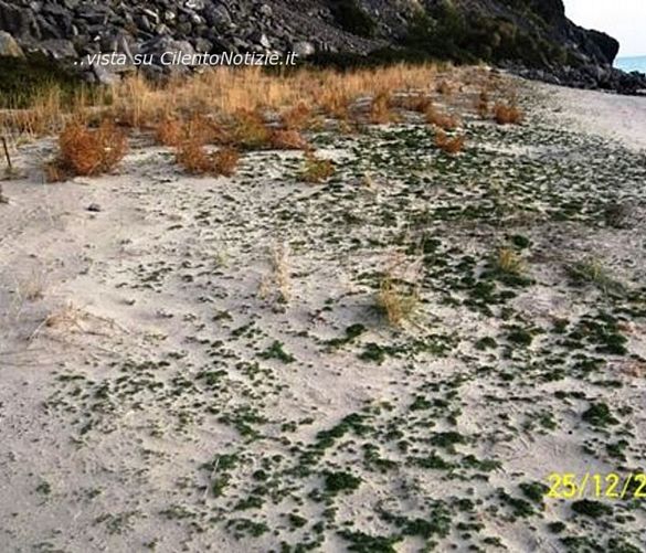 27122016 spiaggia da tutelare
