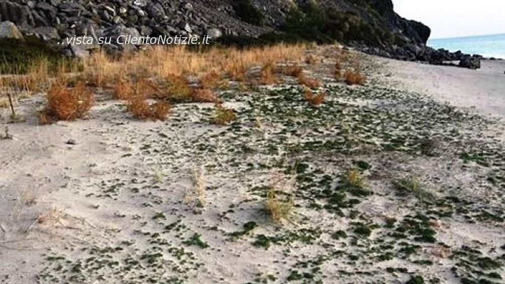 27122016 spiaggia da tutelare