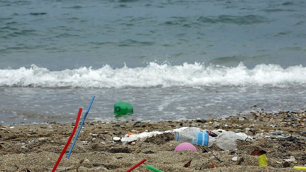 27122019 plastica litorale