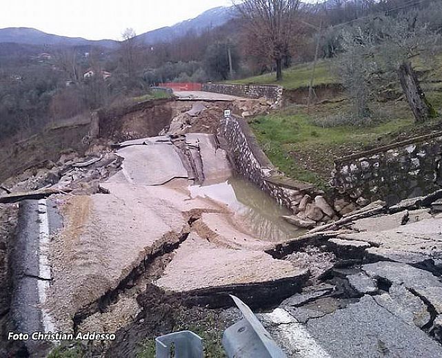 28012014 frana auletta