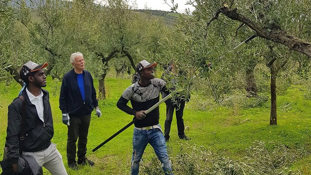 28012020 Potatura Giungano 02