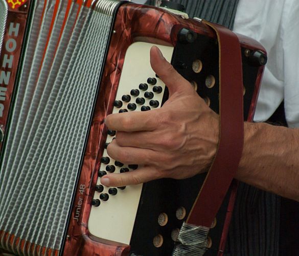 28012026 musicista fisarmonica