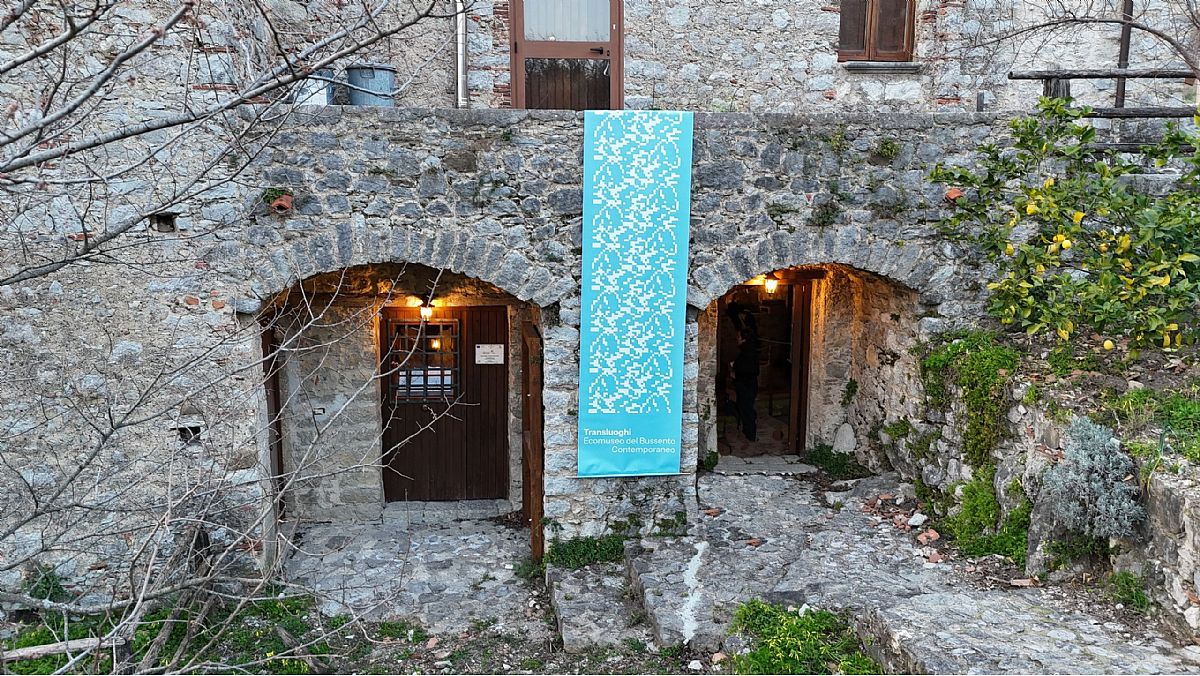 28022025 frantoio foto 2 28022025 frantoio foto 2