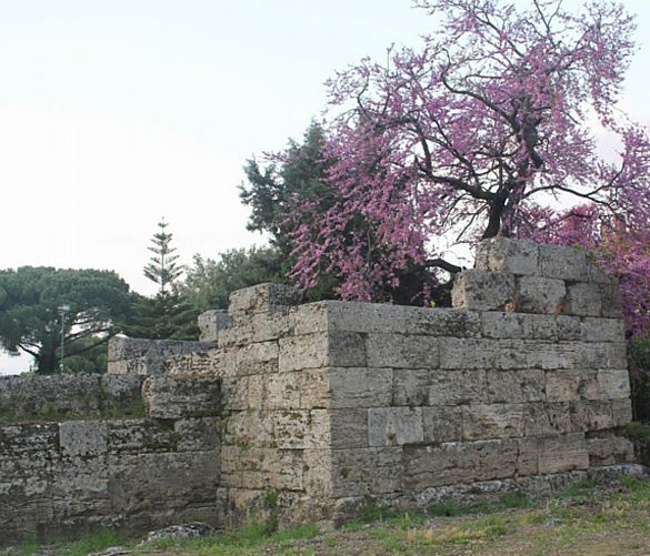 28032017 paestum antiche mura a
