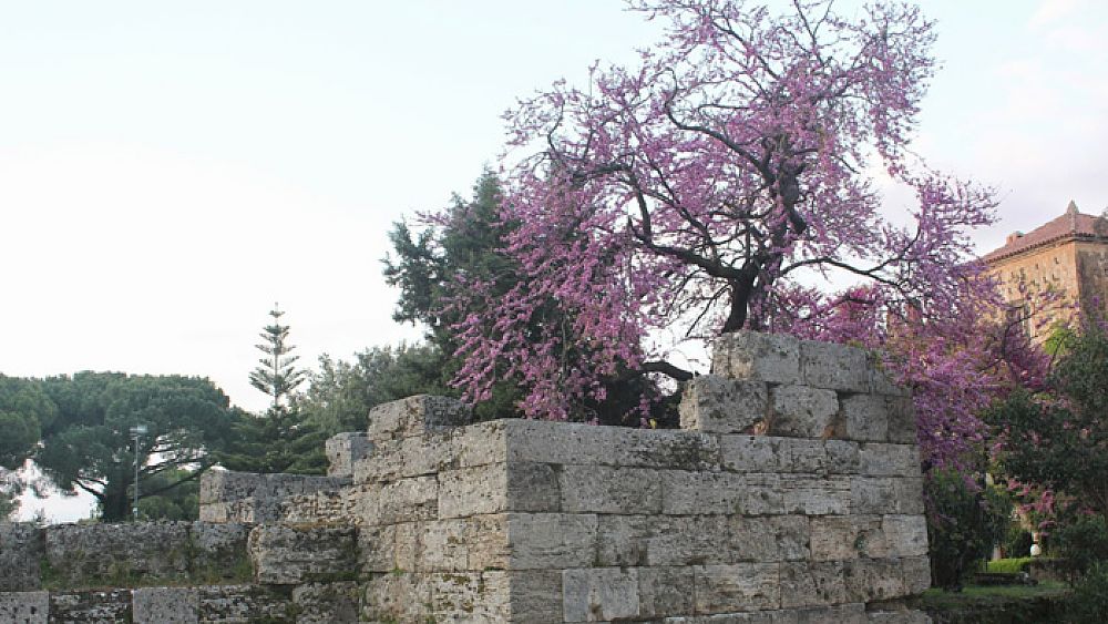 28032017 paestum antiche mura a