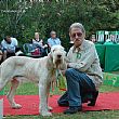 Spettacoli-eventi foto - 28042014 collare d oro cani 03