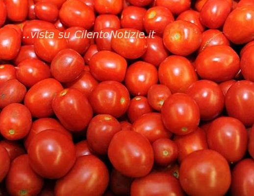 28042014 pomodori