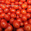 Economia foto - 28042014 pomodori