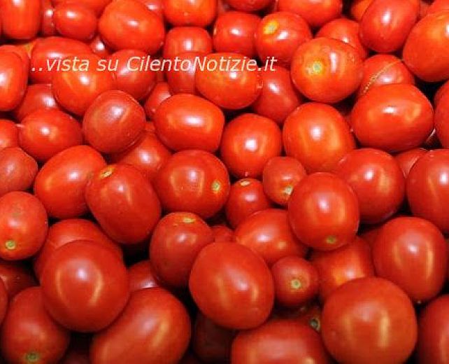 28042014 pomodori
