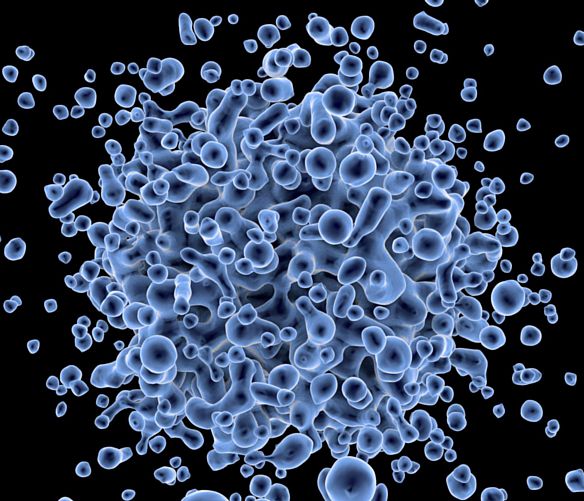28052017 virus
