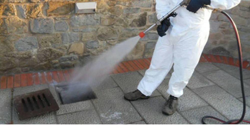 28052018 derattizzazione