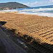 Castellabate Notizie foto - 28052021 pulizia spiagge castellabate