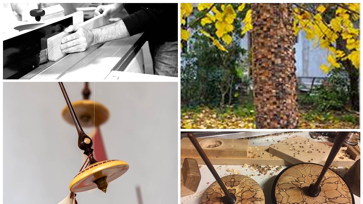 28052024 legni del mondo