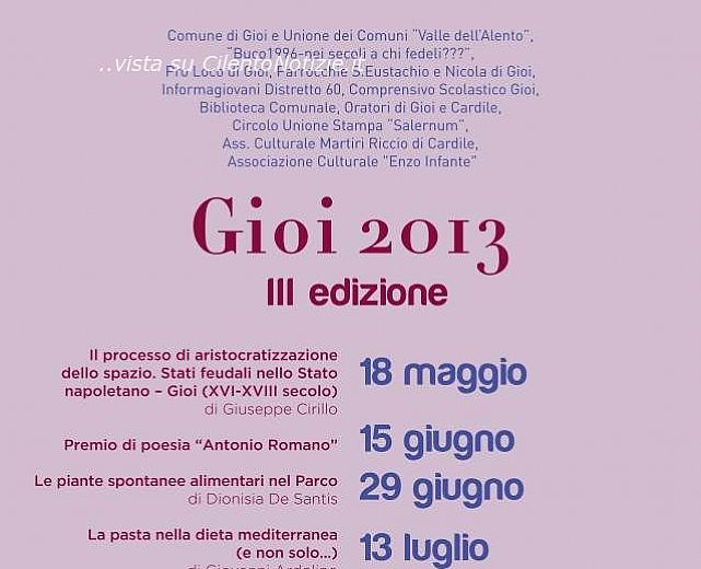 28062013 libro mese 2013