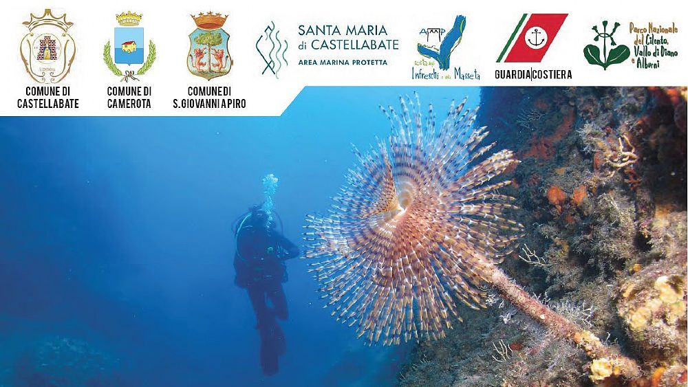 28062018 meraviglioso fondale cilento