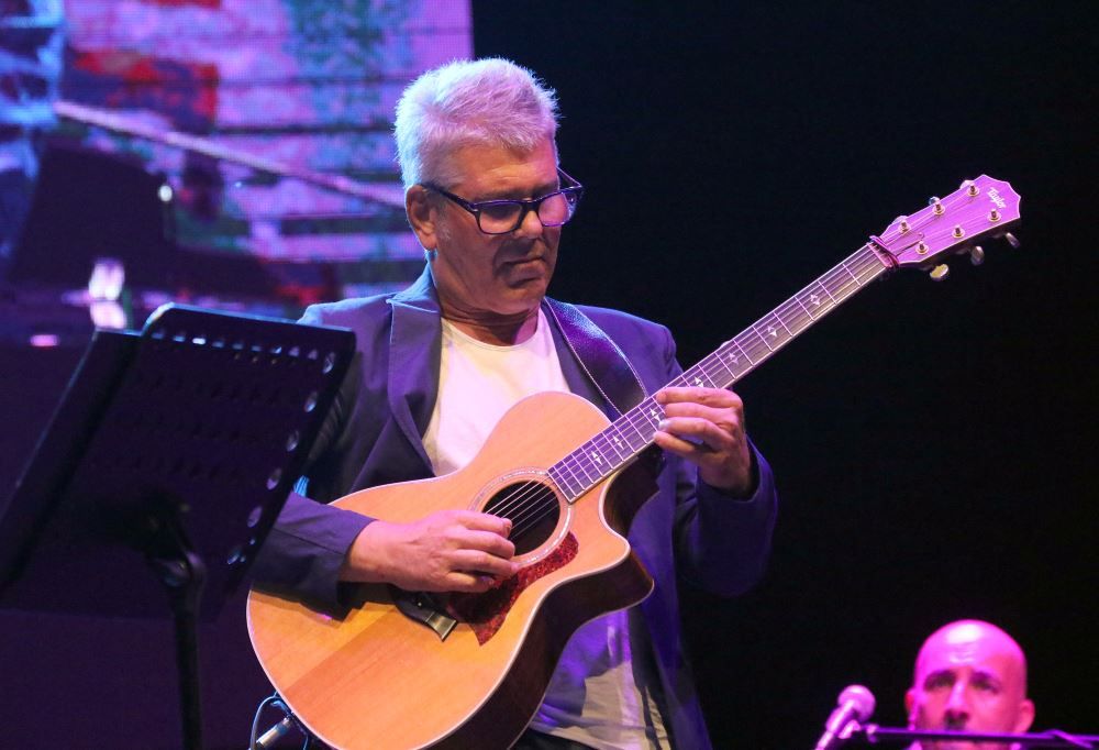 michele zarrillo live