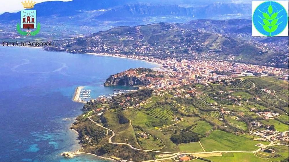 28072020 spiga verde 2020