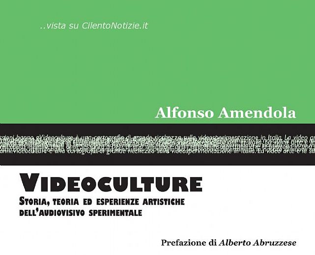 28082013 Videoculture